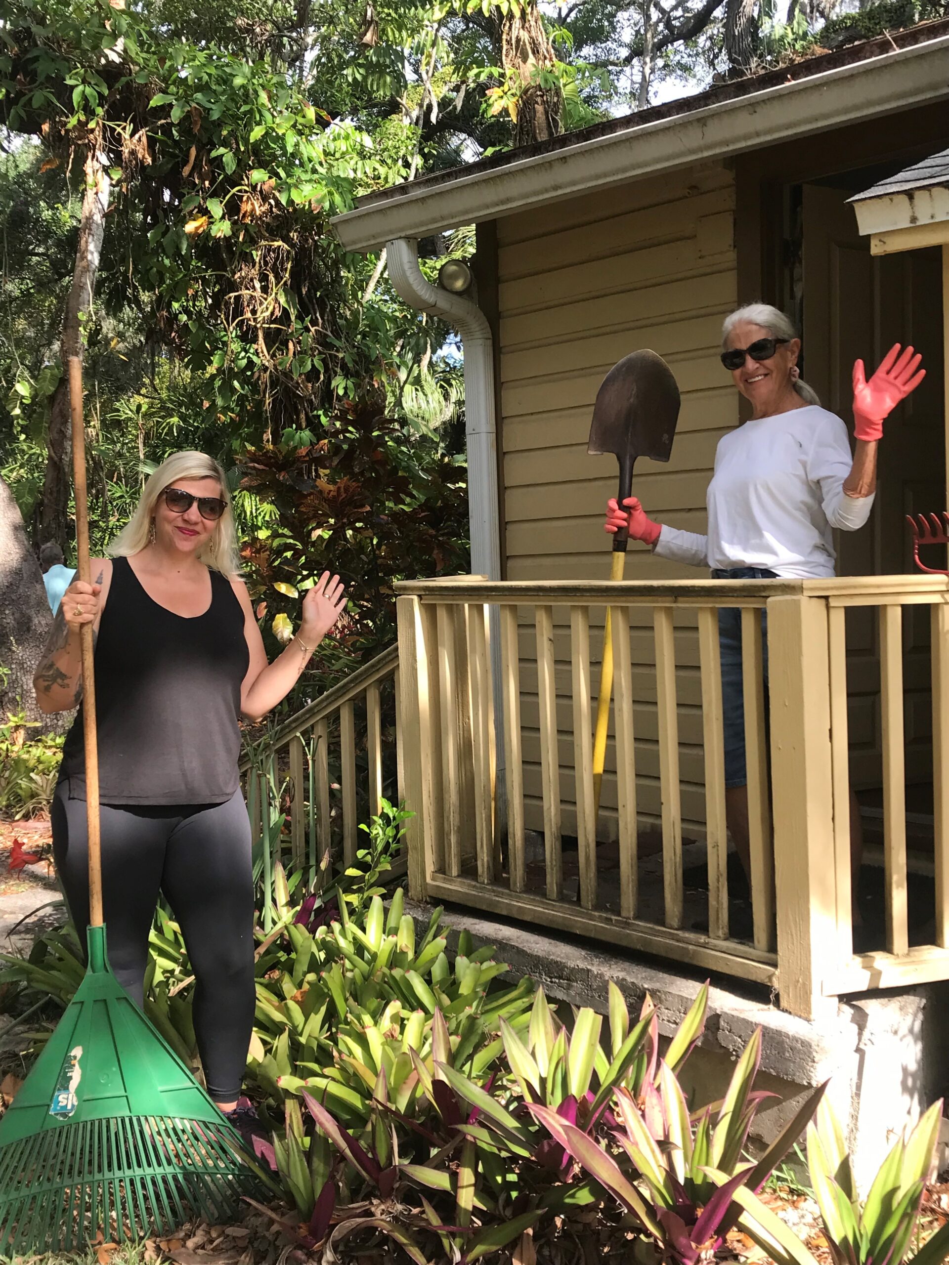 succulentsocietyvolunteers 2023 Two volunteers at the Sarasota Succulent Society work on the property