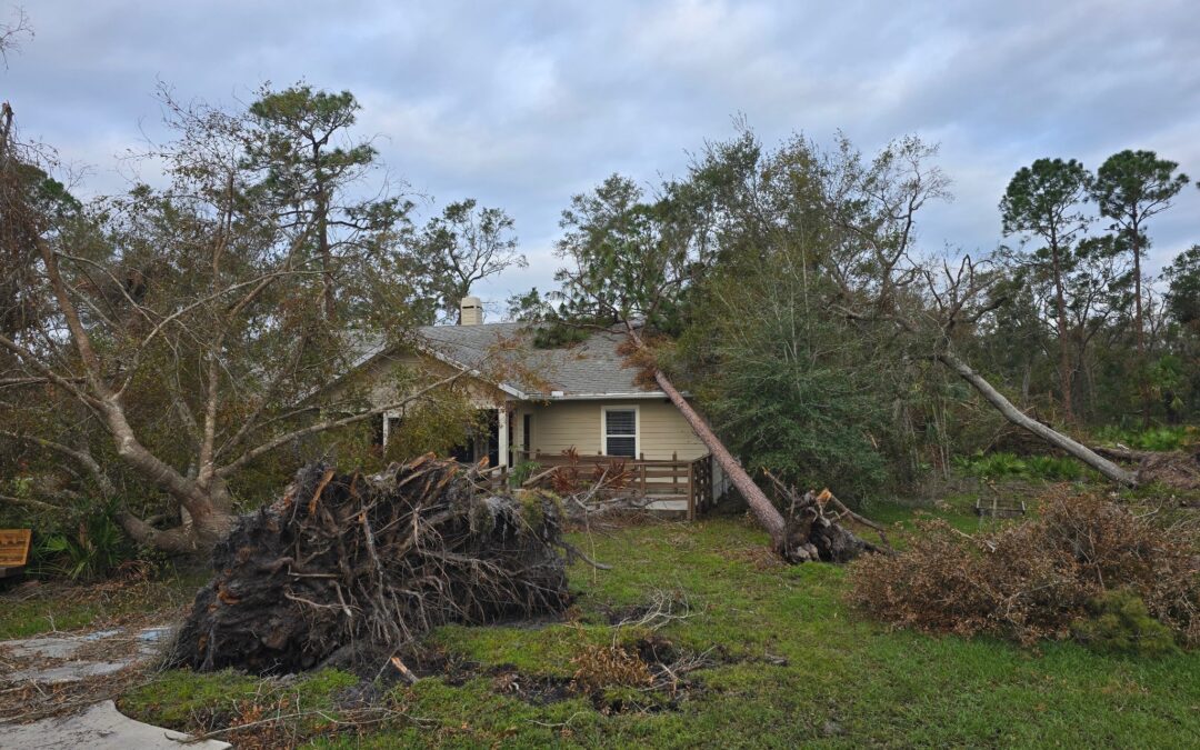 Gratitude & Grants During a Hard Time