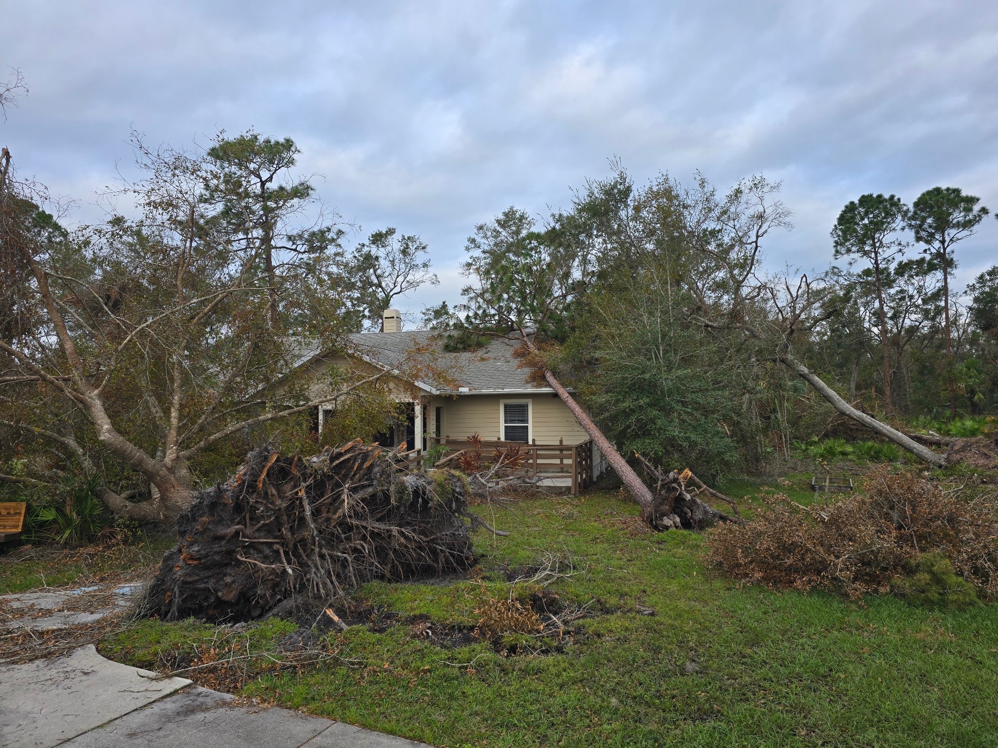 Foundation for Dreams