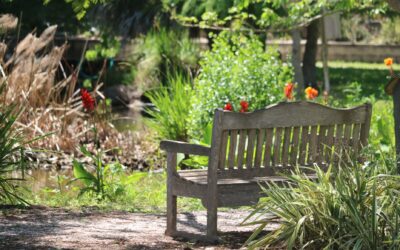 Four Small and Mighty Organizations Strengthened With Capital Investments