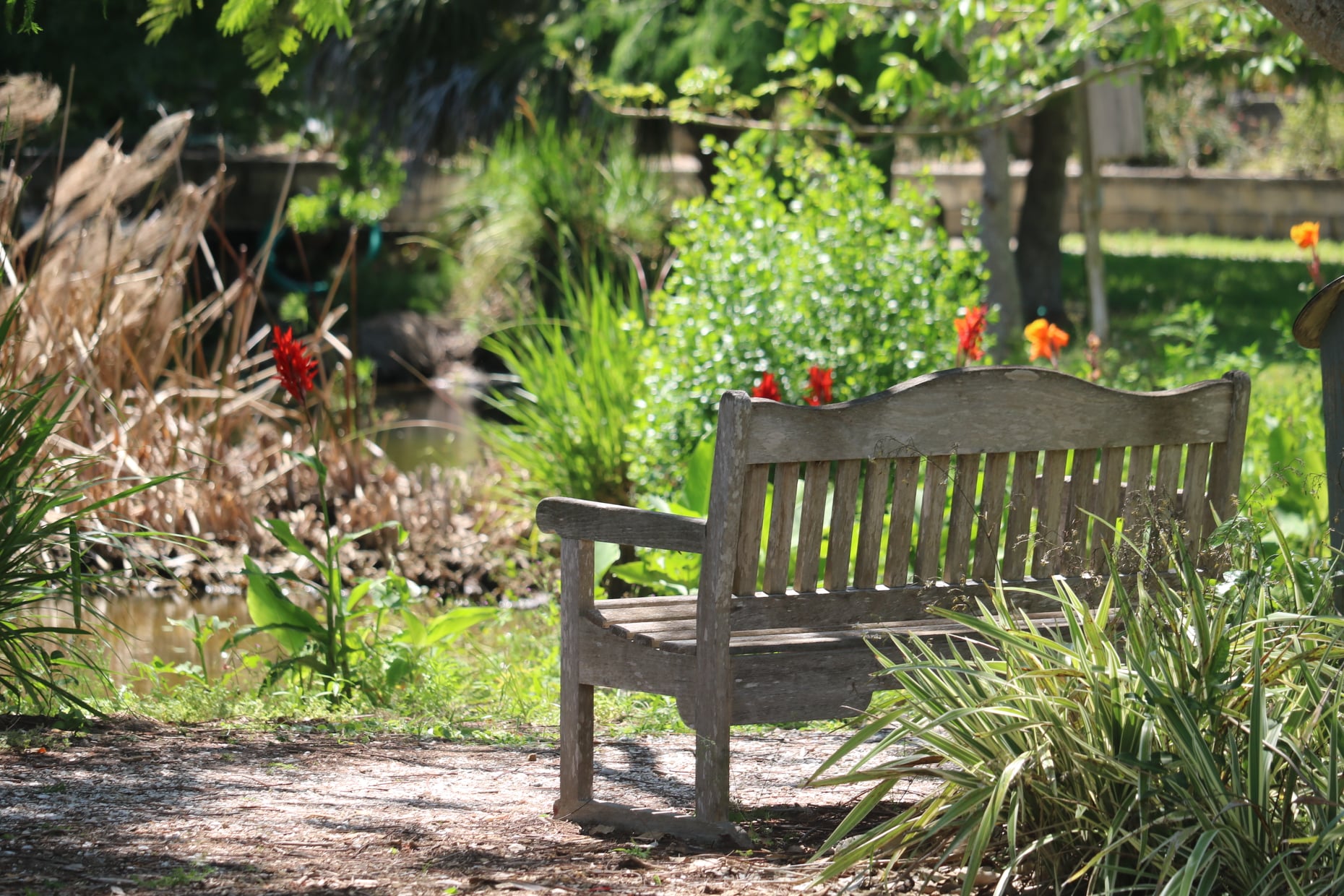 Palma Sola Botanical Park